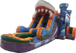 Shark Dual Lane Combo Wet or Dry